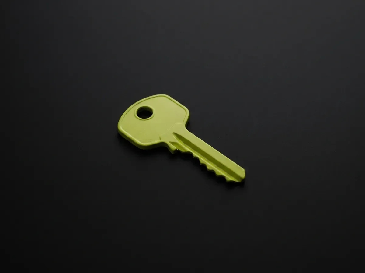 A lime key on a black background